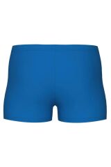 Logo Graphic Erkek Çocuk Yüzücü Mayosu 008173880