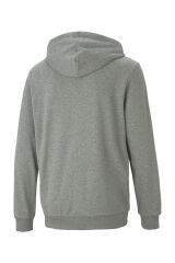 ESS Small Logo FZ Hoodie TR