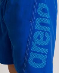 fundamentals-arena-logo-boxer-ssort-1