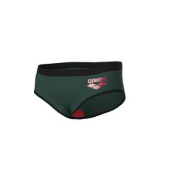 MEN'S ARENA ONE SWIM BRIEFS BIG LOGO ERKEK YÜZÜCÜ MAYOSU