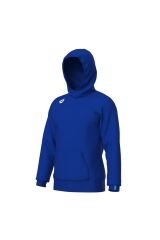 TEAM HOODED SWEAT PANEL UNUSEX KAPŞONLU