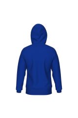 TEAM HOODED SWEAT PANEL UNUSEX KAPŞONLU