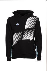 ARENA  ICONS HOODED SWEATSHİRT