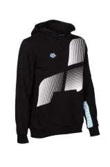 ARENA  ICONS HOODED SWEATSHİRT