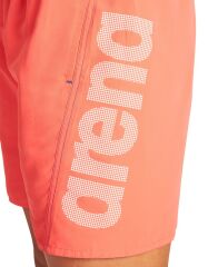 FUNDAMENTALS ARENA LOGO BOXER MAYO